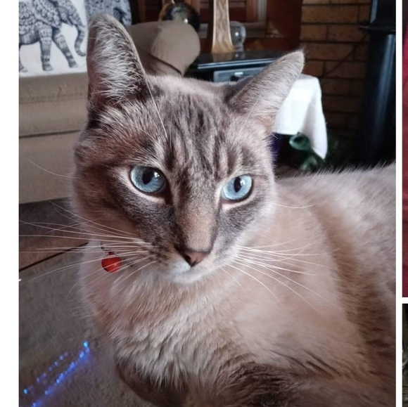 Meet your Poshers, Michael ๐ค And Dawn๐ - Picture 14 of 16